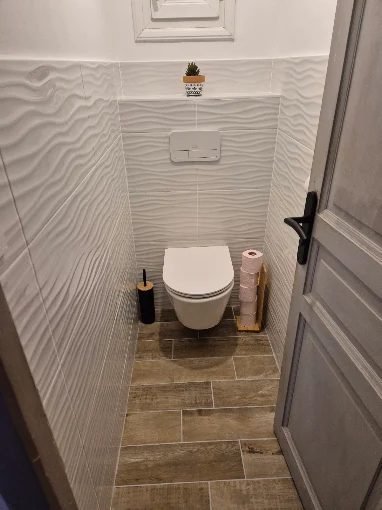 Toilettes suspendues avec mur décoratif